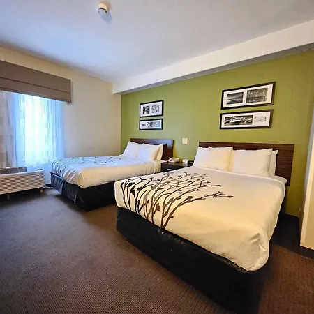 Surestay By Best Western Summerville Flowertown-3